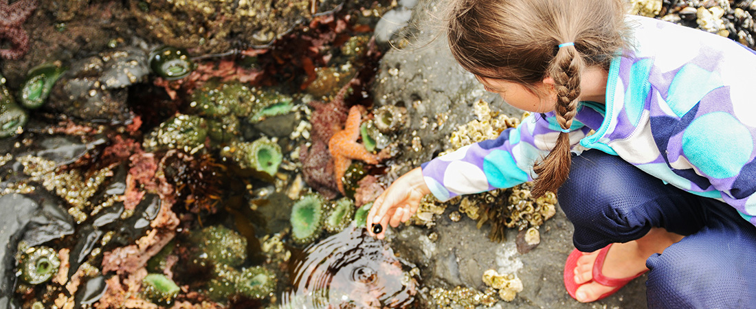 A photo of a student engaged in STEM activity representing Rural STEM