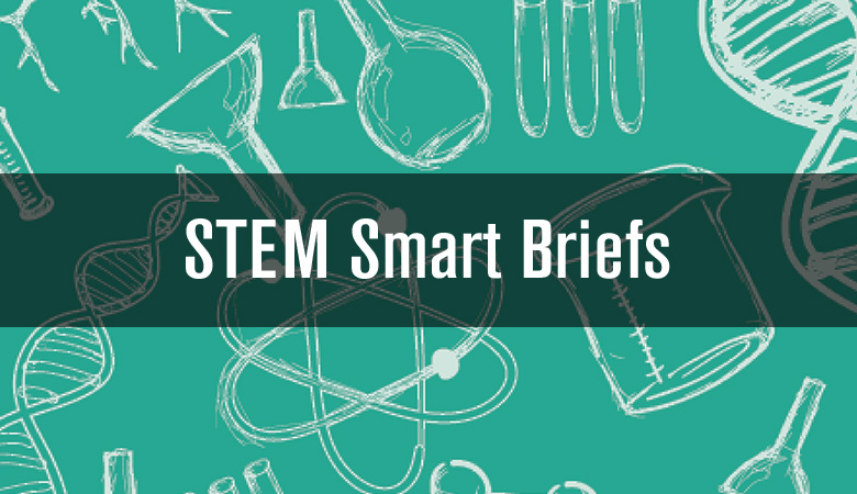 STEM Smart Briefs