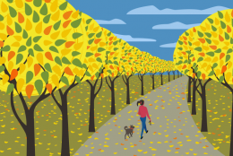 Reflecting On Our Own Well-Being and Needs An image representing Reflecting On Our Own Well-Being and Needs