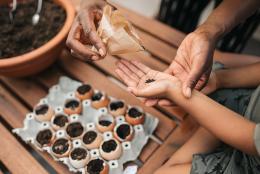Start Young, Start Now: Key Actions to Improve Scientific Literacy A photo of a science activity
