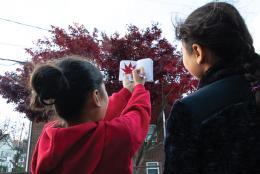 3 Great Science Activities for Fall An image of parent and child representing 3 Great Science Activities for Fall