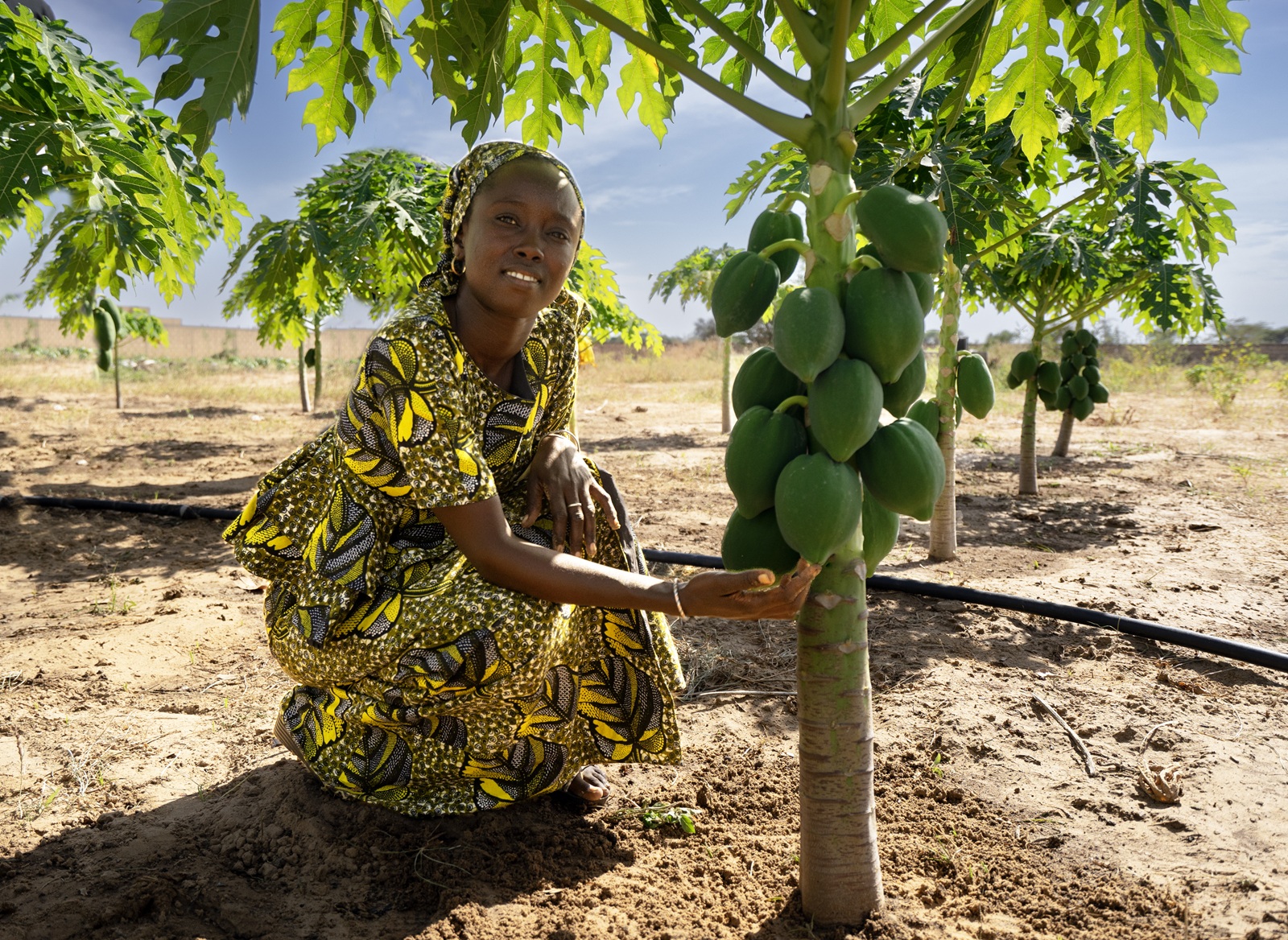 Senegal Programme de Formation Professionnelle et d’Insertion (PFPI)